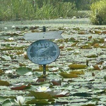 Cypress Gardens - Gator Country! - Parks Near Me - Moncks Corner, South Carolina