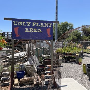 Evergreen Garden Center - Nurseries & Gardening Near Me - Clovis, California Evergreen Garden Center - Nurseries & Gardening Near Me - Clovis, California