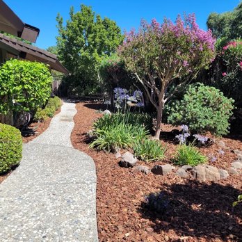 A. H. Maintenance - photo 7 - Landscaping Near Me A. H. Maintenance - photo 7 - Landscaping Near Me