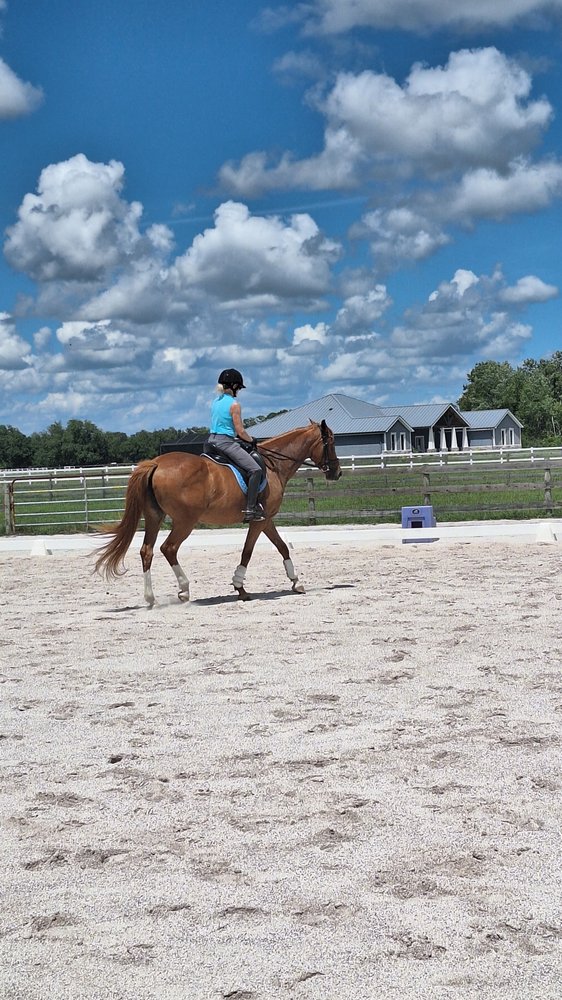 Sun Horse Pointe  - equestrian in Bradenton, FL