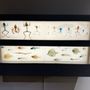 Photo of KU Natural History Museum
