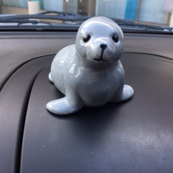 Art Attack - Grey seal - Paint-Your-Own Pottery Near Me - Albuquerque, New Mexico