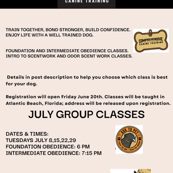 Comprehensive Canine Training - July Group Classes with CCT
(904) 236-3780
comprehensivecaninetraining.com - Pet Training Near Me Comprehensive Canine Training - July Group Classes with CCT
(904) 236-3780
comprehensivecaninetraining.com - Pet Training Near Me