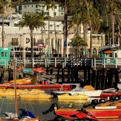 Catalina Island - May 30, 2026 | Saturday Morning 6AM-7AM-ish | Scenery on my Morning Walk! |
