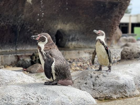 Milwaukee County Zoo by null
