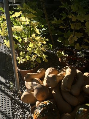 Briermere Farms by null