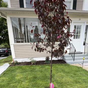 Mike's Yard Clean up - Front lawn - Lawn Services Near Me - Richmond, Rhode Island Mike's Yard Clean up - Front lawn - Lawn Services Near Me - Richmond, Rhode Island
