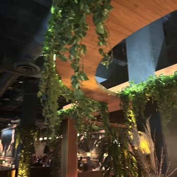 Wren & Wolf - Decor - Cocktail Bars Near Me - Phoenix, Arizona