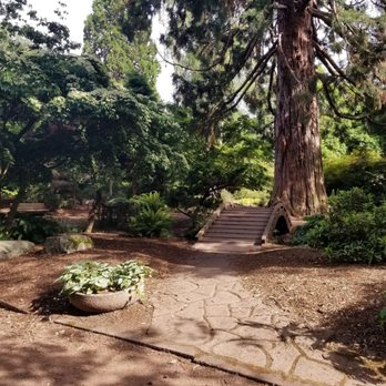 Point Defiance Pagoda - A cute little bridge in the Japanese Garden near the Pagoda. - Parks Near Me - Tacoma, Washington