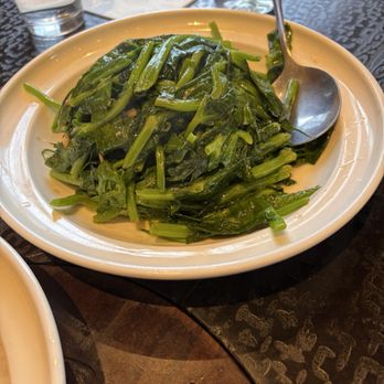 Dragon Beaux - Pea sprouts - Dim Sum Near Me - San Francisco, California Dragon Beaux - Pea sprouts - Dim Sum Near Me - San Francisco, California