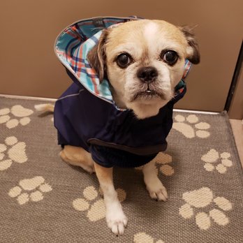 Hip Hound - Rainwear by GF Pet! - Pet Stores Near Me - Portland, Oregon Hip Hound - Rainwear by GF Pet! - Pet Stores Near Me - Portland, Oregon