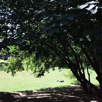 Clark Park - Nice big areas to picnic.... or nap :) - Parks Near Me - Philadelphia, Pennsylvania