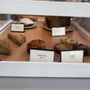 Pluma By Bluebird Bakery