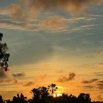 Chick & Hawk - View from restaurant - Cocktail Bars Near Me - Encinitas, California