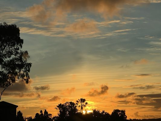 Chick & Hawk by null