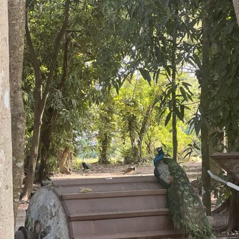 Cauley Square - Antiques Near Me - Miami, Florida Cauley Square - Antiques Near Me - Miami, Florida