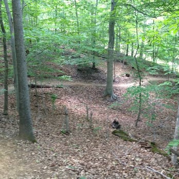 Meadowood Special Recreation Management Area - A pretty, winding part of the trail. - Hiking Near Me - Lorton, Virginia