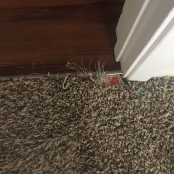Cisco Steam Clean - Damaged corner from cat clawing - Carpet Cleaning Near Me - San Tan Valley, Arizona