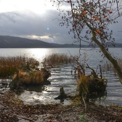 Laacher See - Laacher See: auch im Winter schön