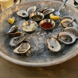 Shuck Seafood and Raw Bar