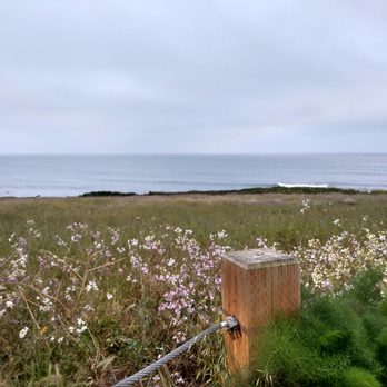 Año Nuevo State Park - Beaches Near Me - Pescadero, California