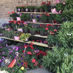 Food Lion - Beautiful flowers