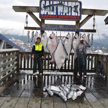 Saltwater Safari - 07/24/25 Halibut & Salmon - Tours Near Me - Seward, Alaska Saltwater Safari - 07/24/25 Halibut & Salmon - Tours Near Me - Seward, Alaska