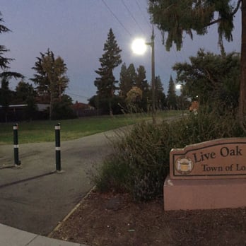 Live Oak Manor Park - Frontage Road - Parks Near Me - Los Gatos, California Live Oak Manor Park - Frontage Road - Parks Near Me - Los Gatos, California