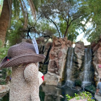 Flamingo Las Vegas - Nice waterfall, but No flamingos here. - Hotels Near Me - Las Vegas, Nevada