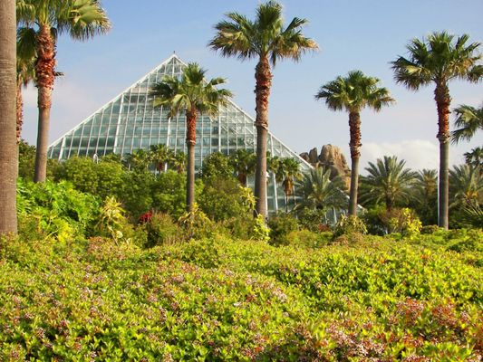 Moody Gardens Attractions Theme Park by null