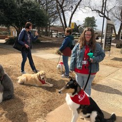 Comprehensive Pet Therapy