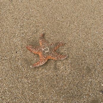 Montara State Beach - Parks Near Me - Montara, California