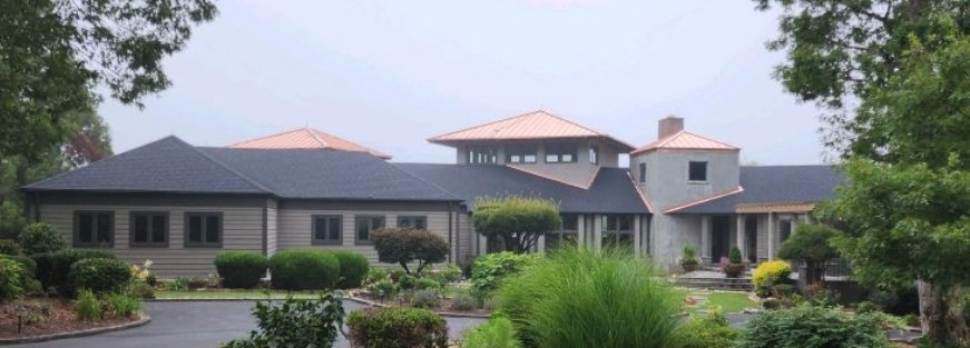 Slide of Purple Turtle Roofing