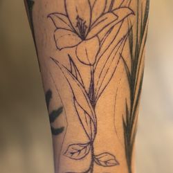 Lucid Tattoo Company