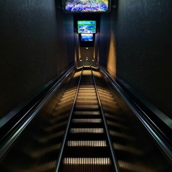 Tennessee Aquarium - Aquariums Near Me - Chattanooga, Tennessee Tennessee Aquarium - Aquariums Near Me - Chattanooga, Tennessee