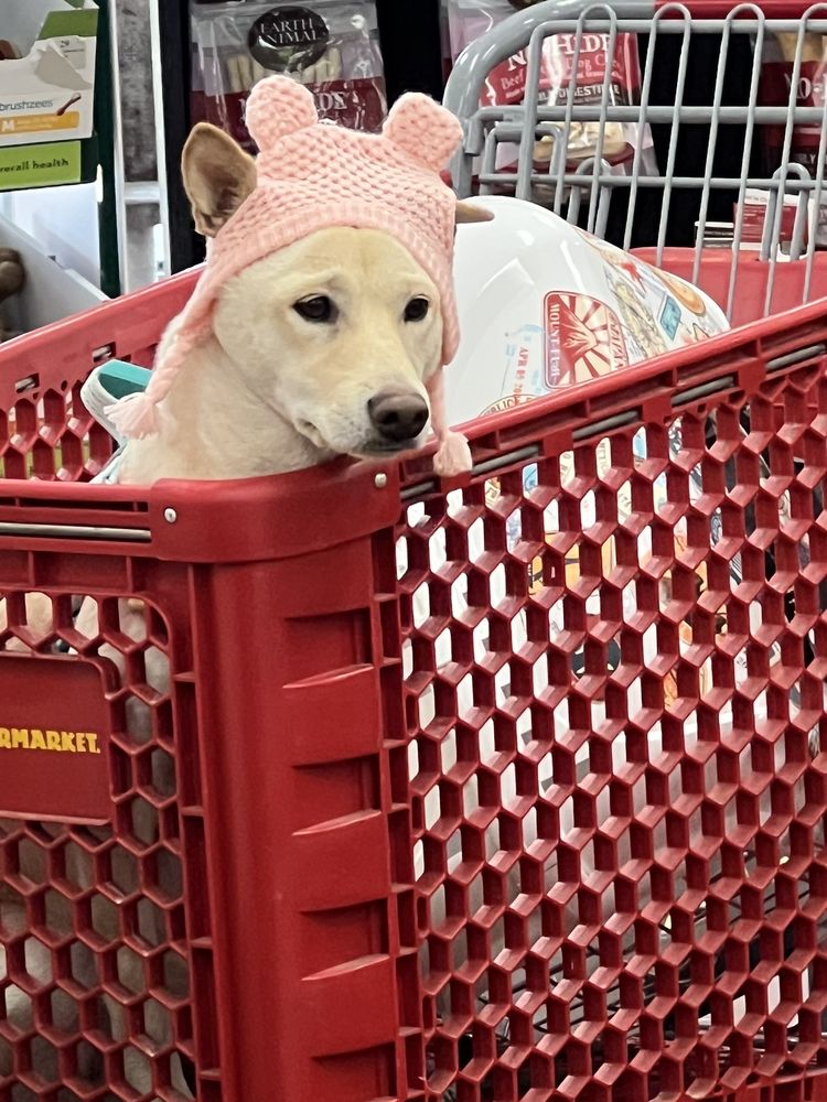 Pet Supermarket Image