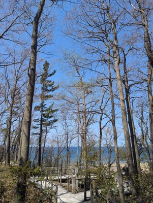 Rosy Mound Natural Area by null