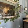 Photo of Amazing Daisy Brazilian Wax & Beauty Bar