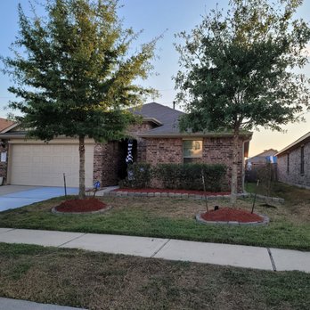 Jireh Trees and Landscaping - Tree pruning - Tree Services Near Me - Spring, Texas