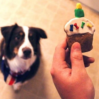 Lulu's Paw Boutique - Purchased this cute puppy cupcake cookie for my 3 year old Aussie. I believe it was $5! Quite expensive. - Pet Stores Near Me - Pawleys Island, South Carolina Lulu's Paw Boutique - Purchased this cute puppy cupcake cookie for my 3 year old Aussie. I believe it was $5! Quite expensive. - Pet Stores Near Me - Pawleys Island, South Carolina