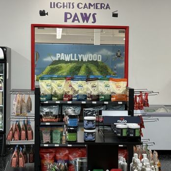Pawllywood Kingdom - Products and a peek into the daycare, play area. - Pet Groomers Near Me - Cypress, Texas Pawllywood Kingdom - Products and a peek into the daycare, play area. - Pet Groomers Near Me - Cypress, Texas