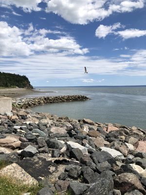 Parkland Village Inn by null