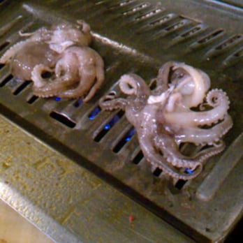Cham Soot Gol - baby octopus! ehh, once was enough :) - Barbeque Near Me - Garden Grove, California