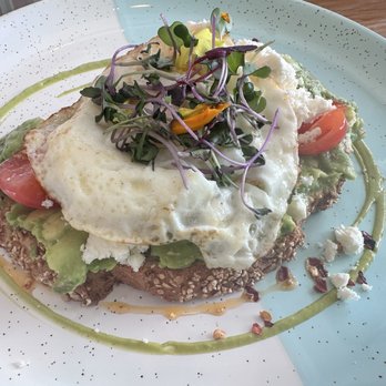 Bluestone Lane Manhattan Beach Café - Avocado Smash - Coffee & Tea Near Me - Manhattan Beach, California Bluestone Lane Manhattan Beach Café - Avocado Smash - Coffee & Tea Near Me - Manhattan Beach, California