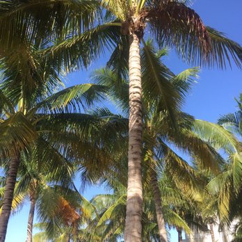 U-Tiki Beach - Seafood Near Me - Jupiter, Florida