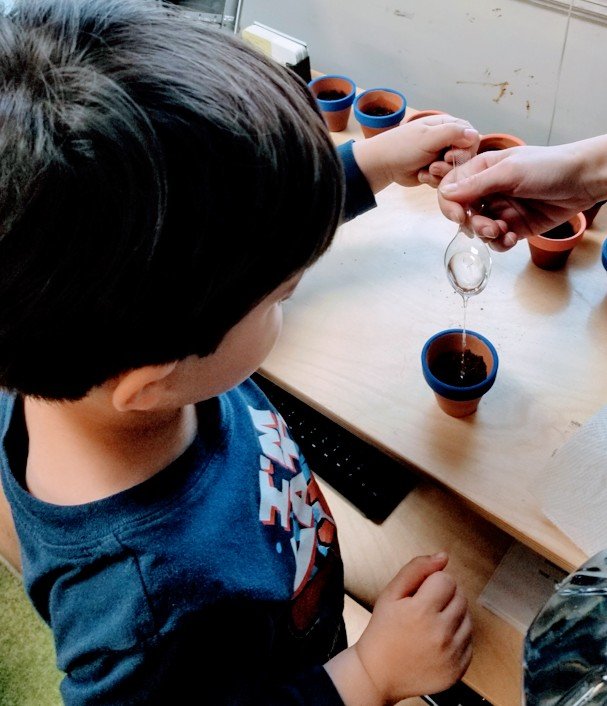 Scotch Plains Montessori - childcare center in Scotch Plains, NJ