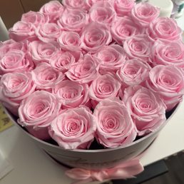 Beautiful roses