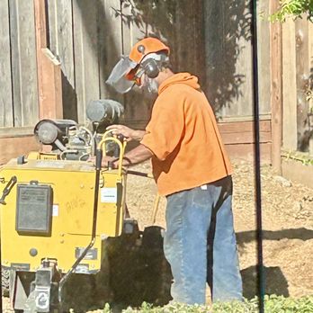 TG Tree Service - Tao grinding away - Tree Services Near Me TG Tree Service - Tao grinding away - Tree Services Near Me