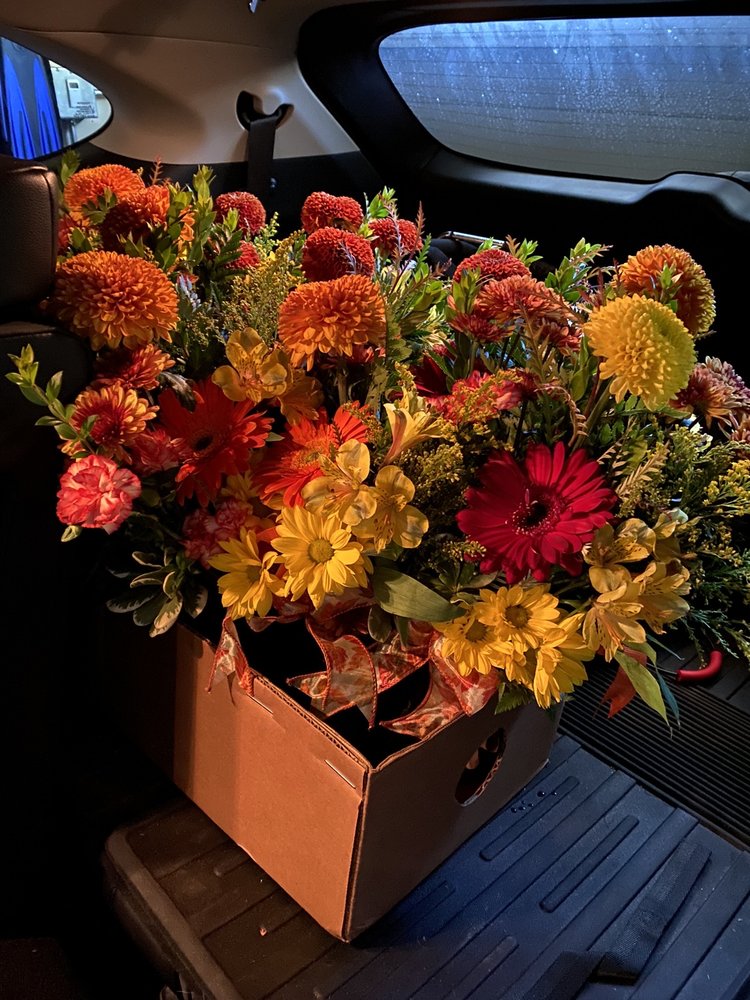 A FAMILY TREE FLORIST 90 Photos & 96 Reviews 41790 Winchester Rd