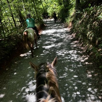 Cowgirl Up Stables - Horseback Riding Near Me - Cherry Log, Georgia